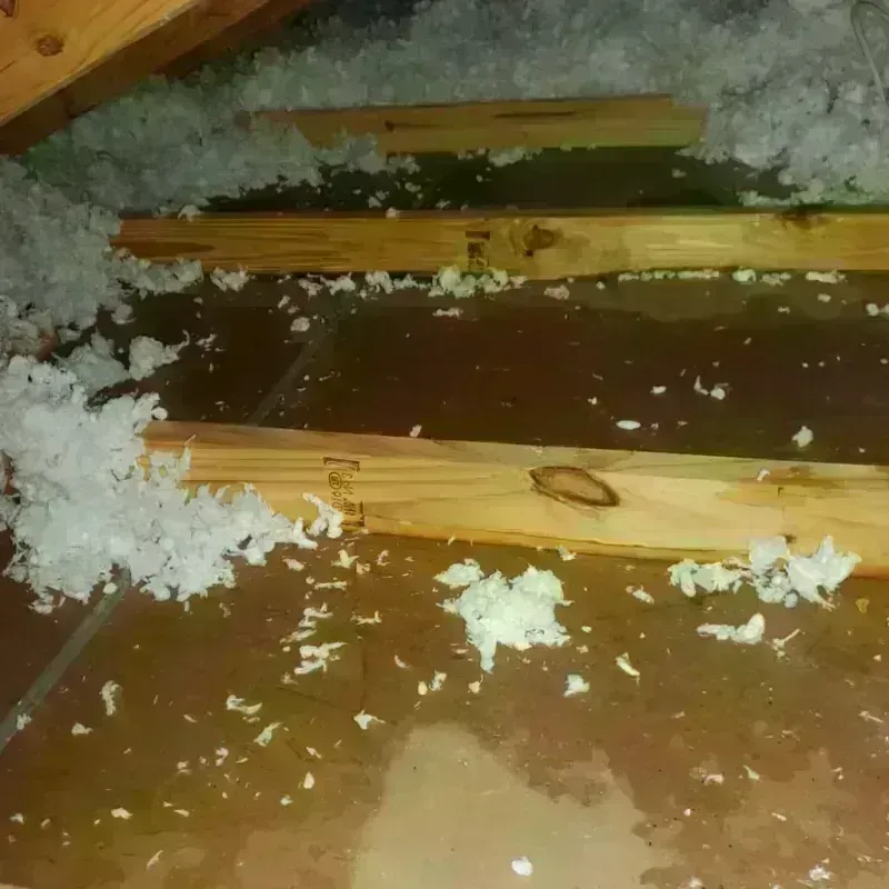 Attic Water Damage in Mosheim, TN